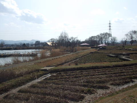conv0049.jpg