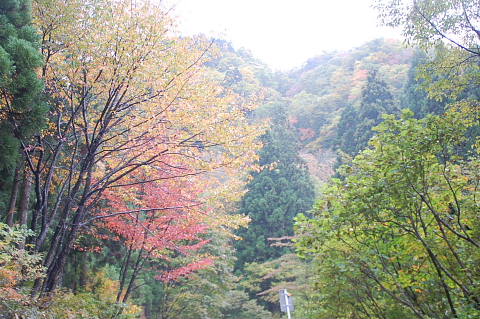 conv0019.jpg