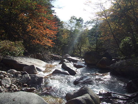 conv0002.jpg