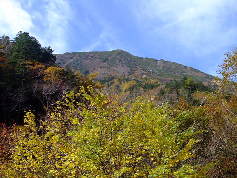 conv0004.jpg