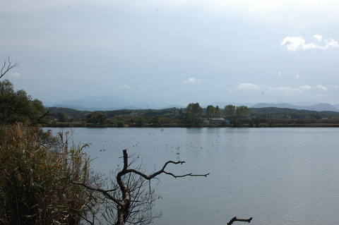 conv0041.jpg