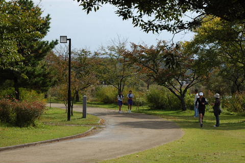 conv0040.jpg