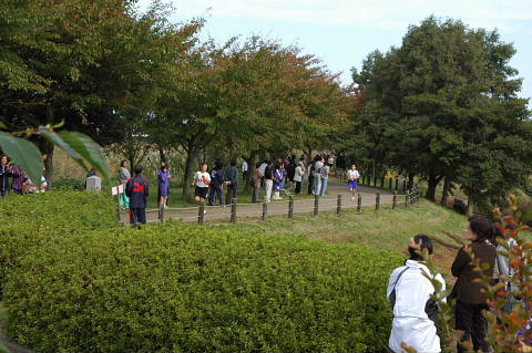 conv0039.jpg