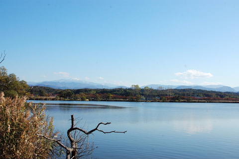 conv0028.jpg