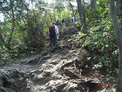 conv0010.jpg