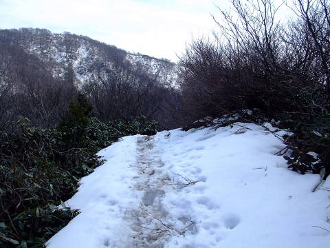 conv0045.jpg
