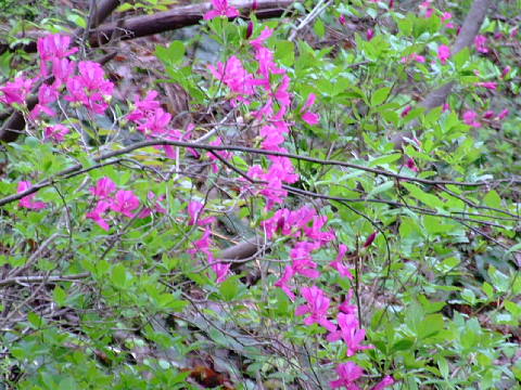 dc050204.jpg