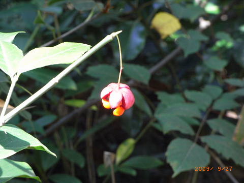conv0018.jpg