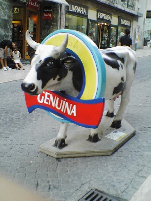 060802 091s.jpg