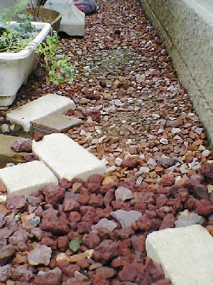 060827 004s.jpg