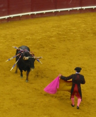 cow2.jpg