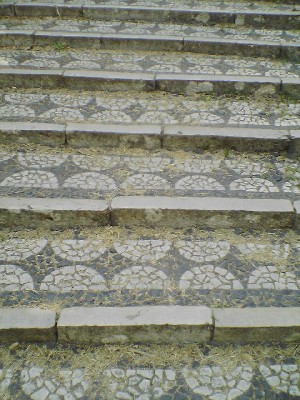 060802 058s.jpg