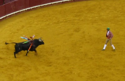 cow3.jpg