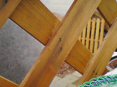 060824s.jpg