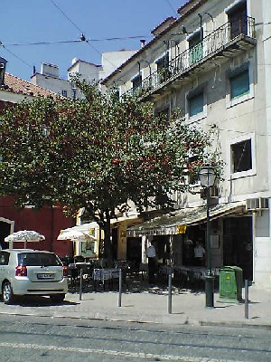 060802 007s.jpg