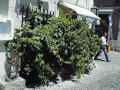 060802 034s.jpg