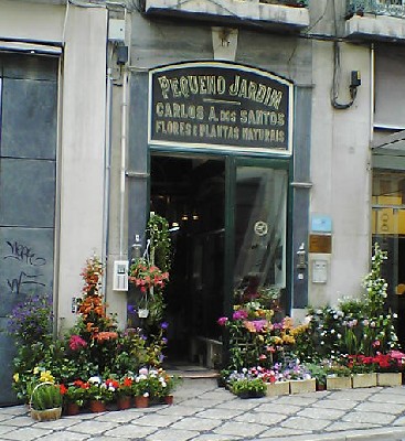 flower.jpg