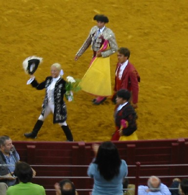 cow5.jpg