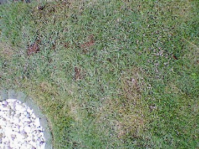 060816 004s.jpg