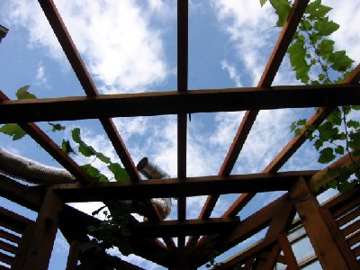 060912 004s.jpg