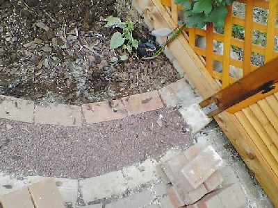 060907 003s.jpg