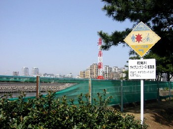 サイクリングロード