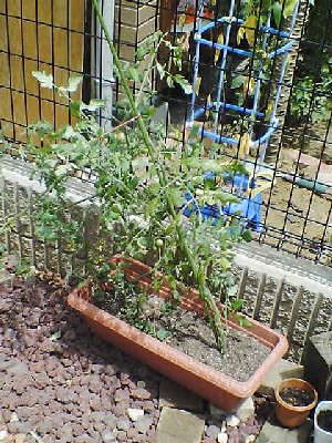 060731 001s.jpg