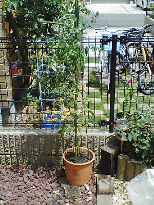 060731 003s.jpg