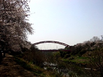 橋と木々