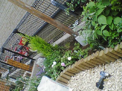 060711 019s.jpg
