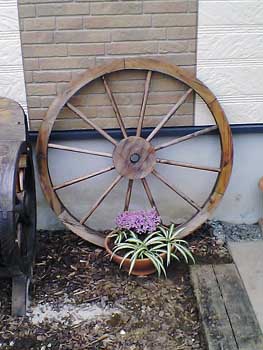 061022 004s.jpg