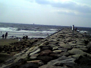 海1
