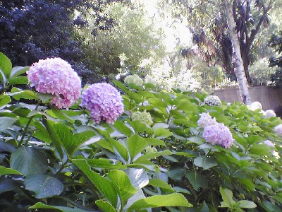 060802 055s.jpg