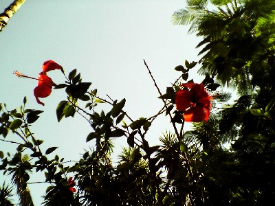 060802 057s.jpg