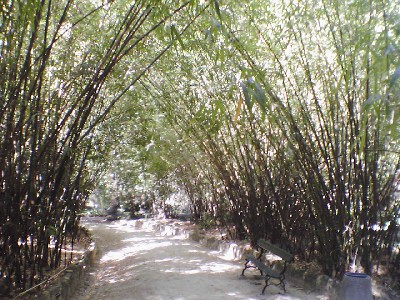 060802 076s.jpg