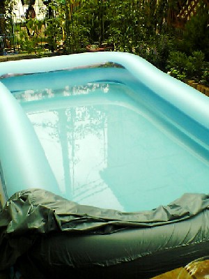 060820 001s.jpg
