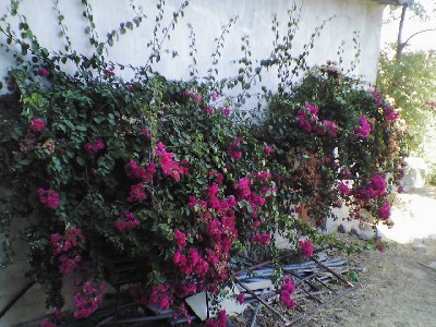 060802 077s.jpg