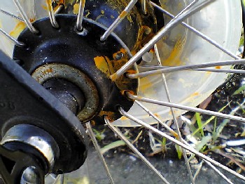 SA350036s.JPG