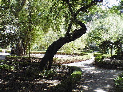 060802 065s.jpg
