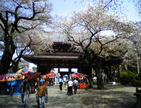 出店