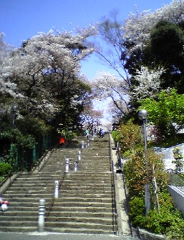 階段全景