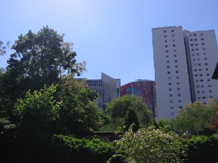 060611 013s.jpg