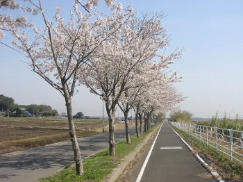 山田休憩所すぎ
