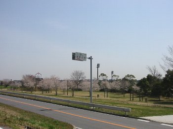 水と緑の運動公園が見えた