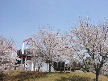 水と緑の運動公園