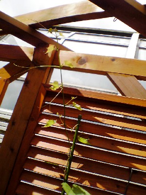 060814 004s.jpg