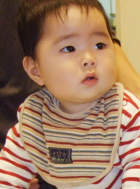 rogo-07-11-13--2-89k.jpg