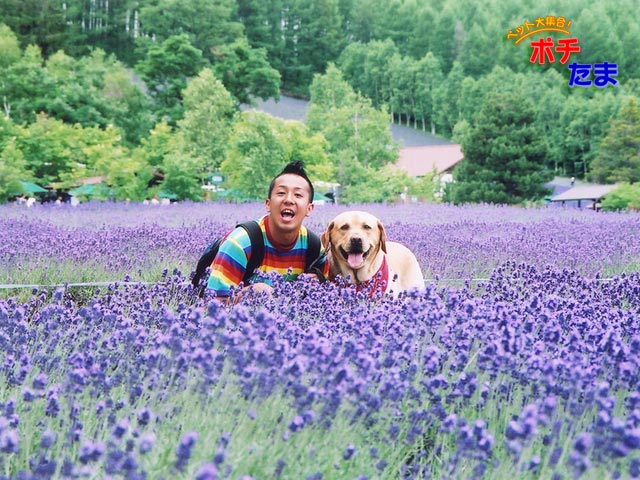 ペット大集合 ポチたま のまさお君安らかに Tot 泣 Cafe渚 楽天ブログ