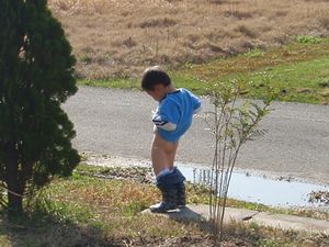 立ちション 小学生 小学校2年生の親は、立ちションの仕方を教えないのでしょうか ...