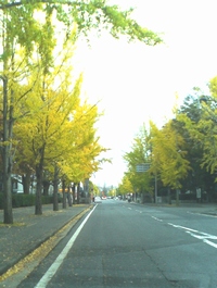 岡大